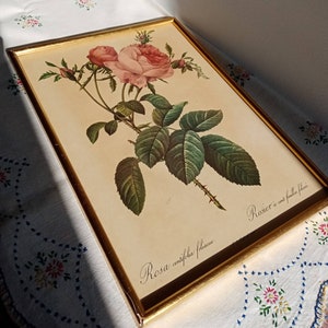 Vintage frame bouquet of roses Redouté style