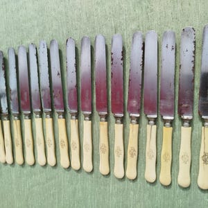 May include: A set of fifteen silver-toned metal knives with off-white handles, arranged in a row from smallest to largest. Each handle features a small engraved monogram. The metal blades show signs of oxidation and wear along the edges.