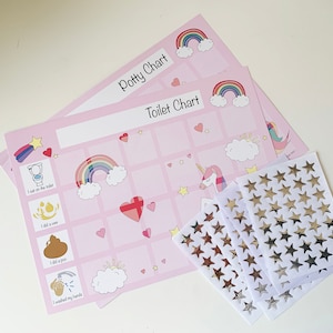 May include: Two pink and white toilet training charts with a rainbow, clouds, and a unicorn design. The charts have spaces for stickers and say "Potty Chart" and "Toilet Chart". There are four sheets of gold star stickers.