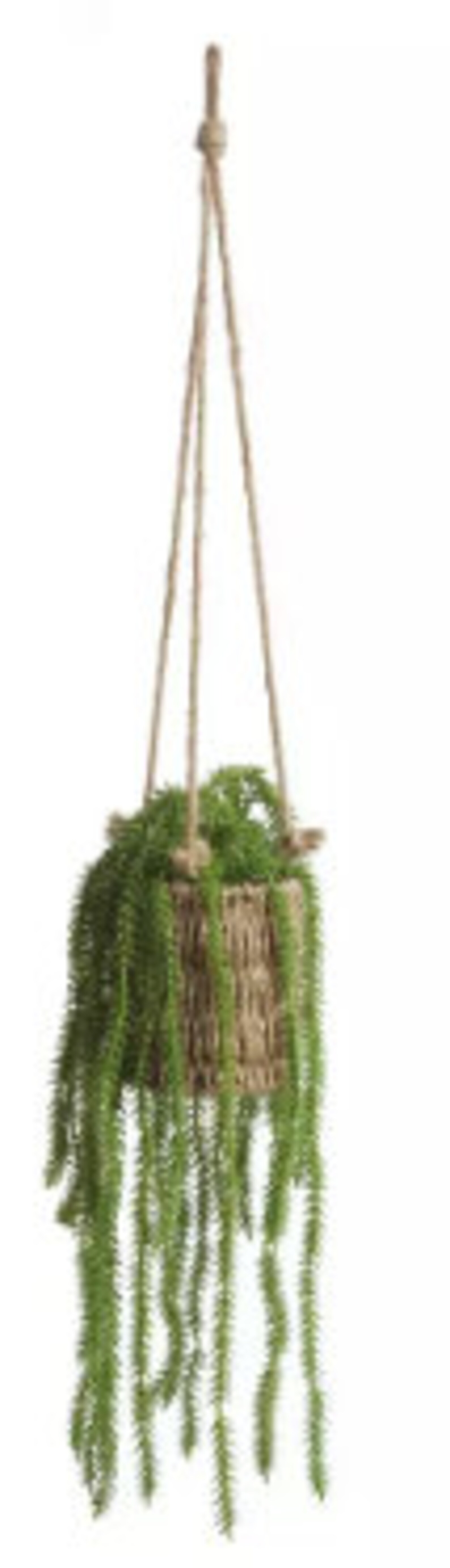 Artificial Trailing Plant in Hanging Basket Etsy
