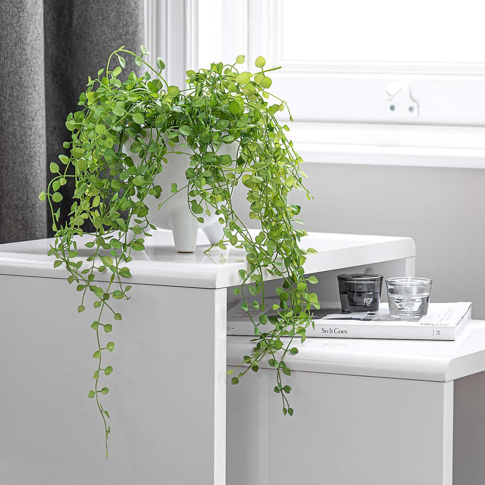Trailing Plants For Pots Artificial at Melba Witkowski blog