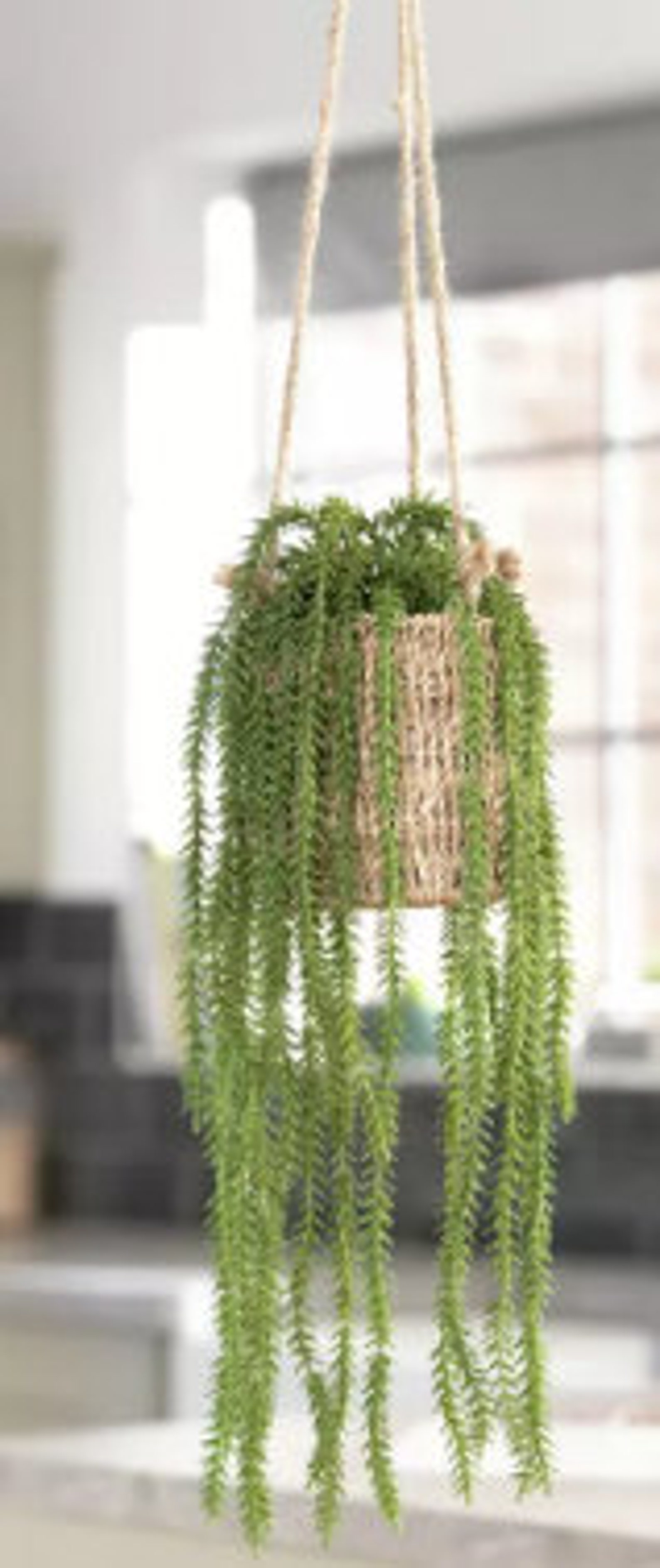 Artificial Trailing Plant in Hanging Basket Etsy