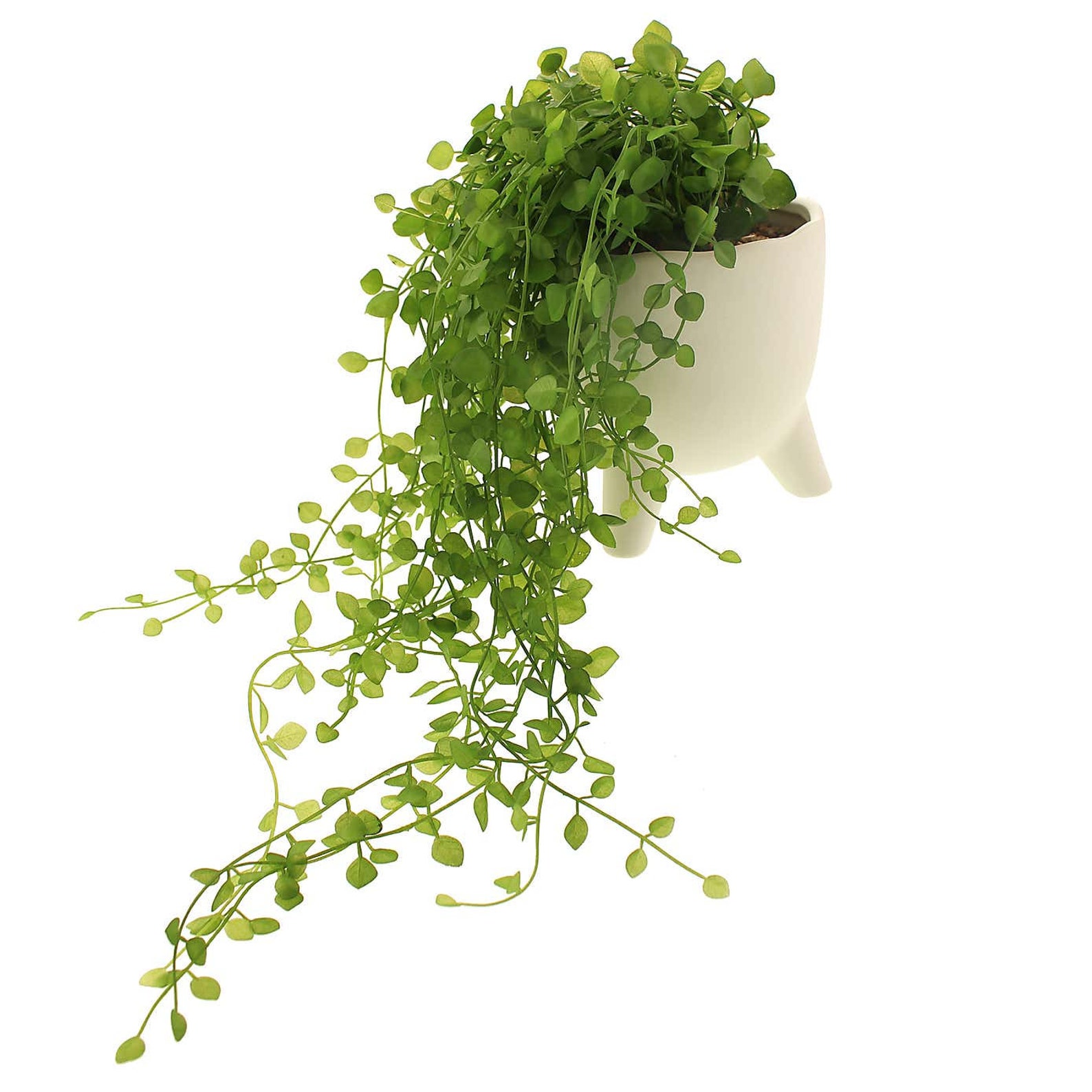 Artificial Faux Trailing Plant in White Pot Etsy