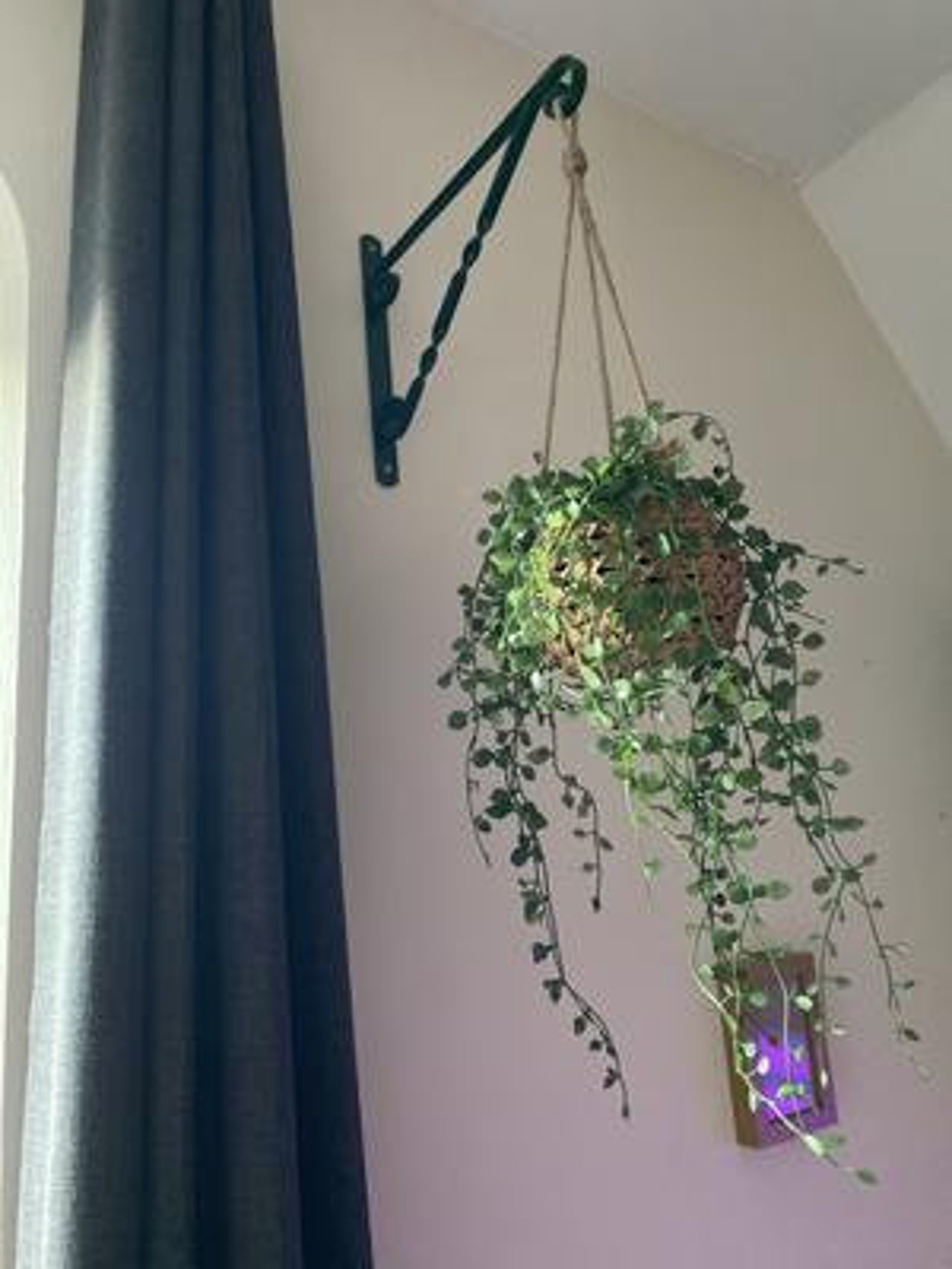 Artificial Trailing Plant in Wicker Hanging Basket Etsy