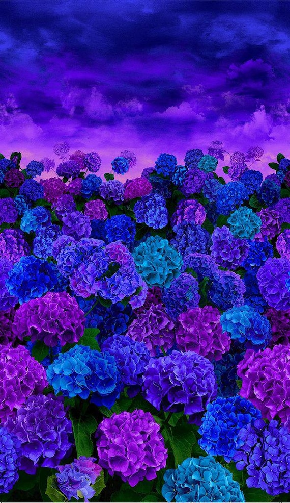 Midnight Bloom || Hydrangea at Dusk Panel by Timeless by