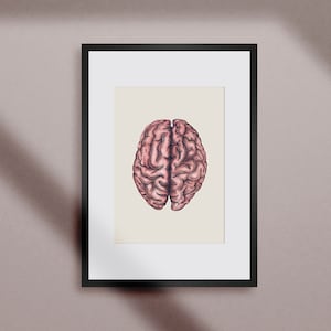 Cerebrum Map Art Print | Medical Art Print, Psychology Art, Brain Print, Doctor Gift, Anatomy Art, Psychiatrist + Psychologist Office Decor