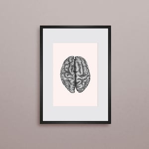 Brain Sketch Art Print | CNS Drawing Print, Office Decor, Neurology Digital Print, Gift for Neurologist, Artist, Counselor, Medical Student