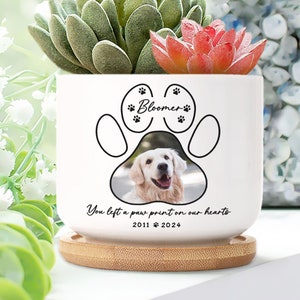 Personalized Pet Photo Memorial Plant Pot, Custom Photo Pet Loss Flower Pot, Dog Lover Gift, Loss Of Dog, Cat Sympathy Gift
