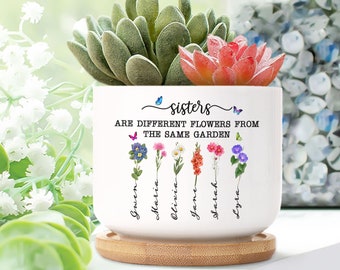 Personalized Sister Ceramic Plant Pot, Custom Birth Month Flowers Plant Pot For Sister, Sister Gift From Sister, Sister Birthday Gift