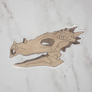 Dracorex Sticker | Dinosaur | Dragon | Pachycephalosaurus | Fossil I Paleontology
