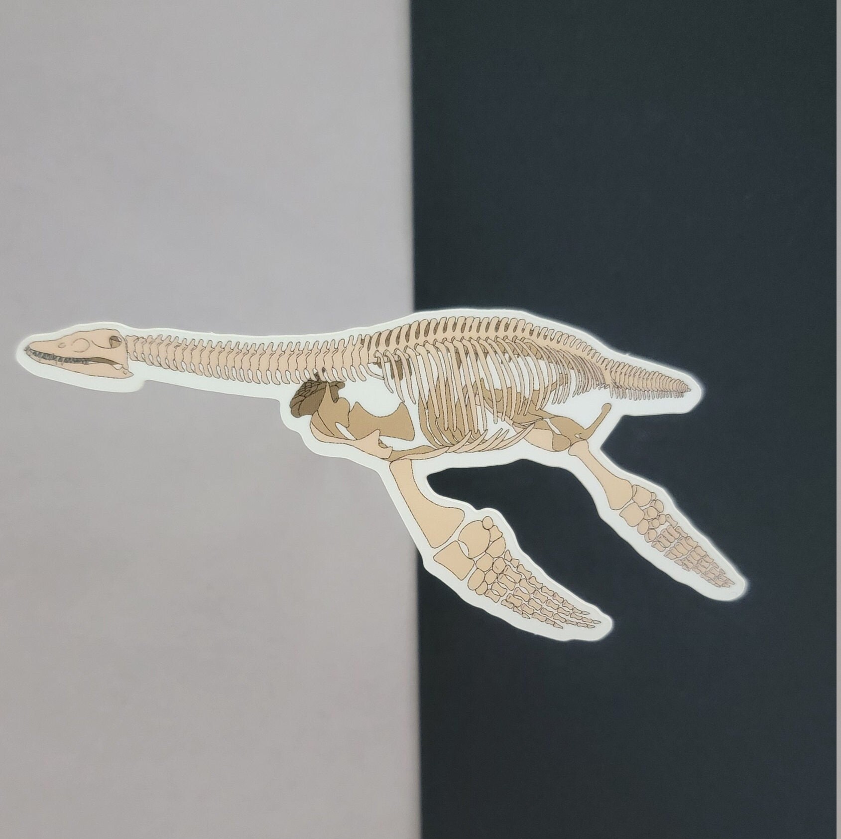 Marine Reptile Sticker Pack | Mosasaurus | Plesiosaurus | Kronosaurus ...