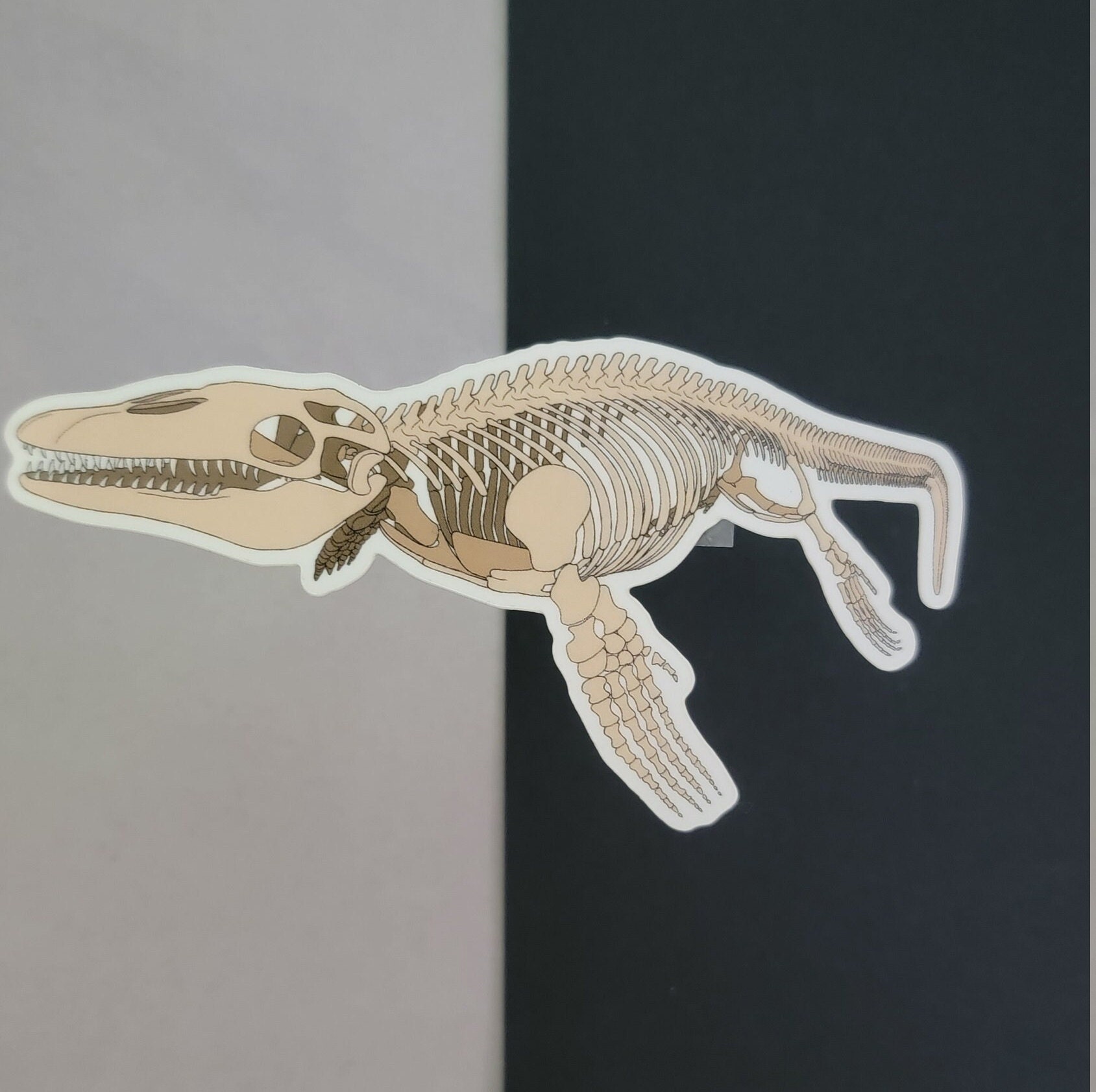 Marine Reptile Sticker Pack | Mosasaurus | Plesiosaurus | Kronosaurus ...