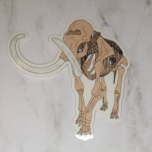 Mammoth Sticker | Ice Age | Pleistocene | Megafauna | Fossil | Paleontology | Mastodon