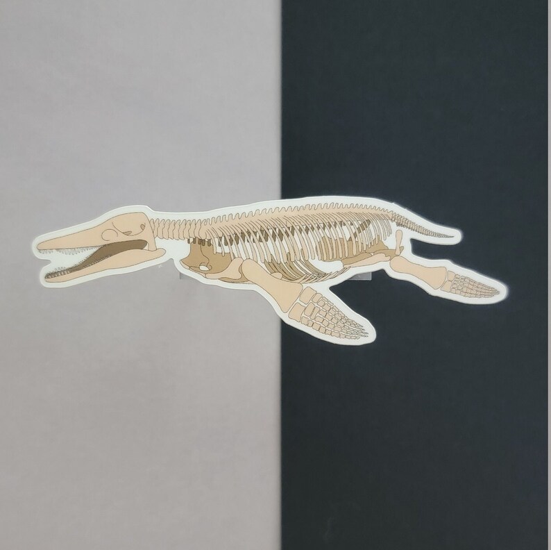Marine Reptile Sticker Pack | Mosasaurus | Plesiosaurus | Kronosaurus ...