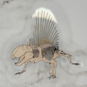 Dimetrodon Acrylic Pin | Mammal Like Reptiles | Dinosaurs | Prehistoric Fossils | Extinct Animals | Synapsids | Paleontology