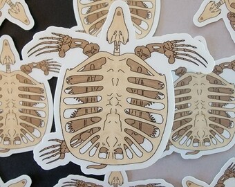 Archelon Etsy Archelon Etsy