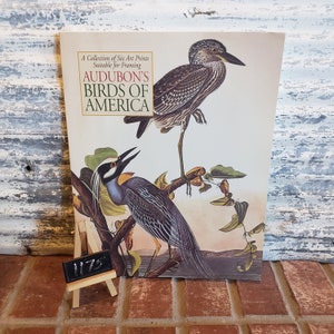 Audubon Society Birds of America Collection, Vintage Official Audubon Framable Art Prints
