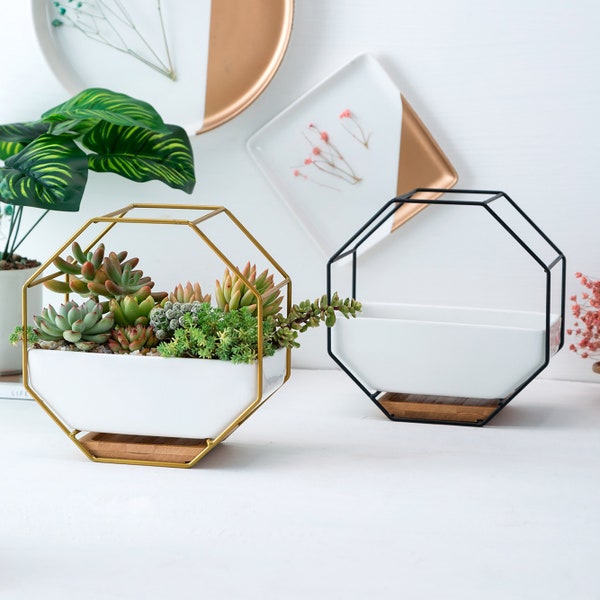Wall hanging Octagonal ceramic Propagation Pot for cuttings succulent cactus | Home decor planters with gold or black frame and bamboo tray