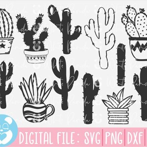 Cactus Svg Bundle,Cactus Svg,Suculento svg,Cactus Svg,Plantas Svg,Cactus Cut File,Cactus Clipart,Svg Files For Cricut,Sihouette,Dxf,Eps,Png