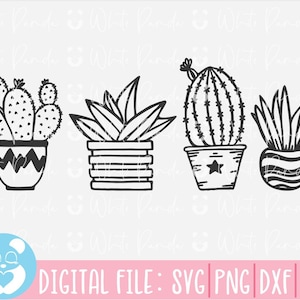 Cactus Suculento Svg ,Cactus Svg,Suculento Svg,Plants Svg,Cactus Cut File,Cactus Clipart, Plant Svg,File for Cricut and Silhouette,Cacti Svg