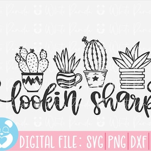 Recherche Sharp Svg, Cactus Svg, Cactus Svg, Looking Sharp Cactus, Svg Fichiers Pour Cricut, Cactus Cut File, Looking Sharp, Svg Pour Silhouette