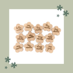 Flower Baby Monthly Milestone Markers and Photo Props / Baby Shower Gift / Newborn Photography