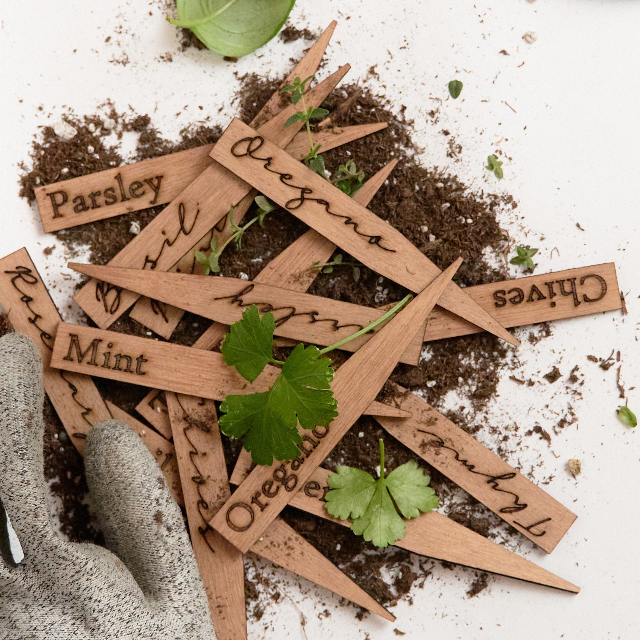 Wooden Plant Labels for Plant Babies Herb Gardens and Indoor Etsy UK