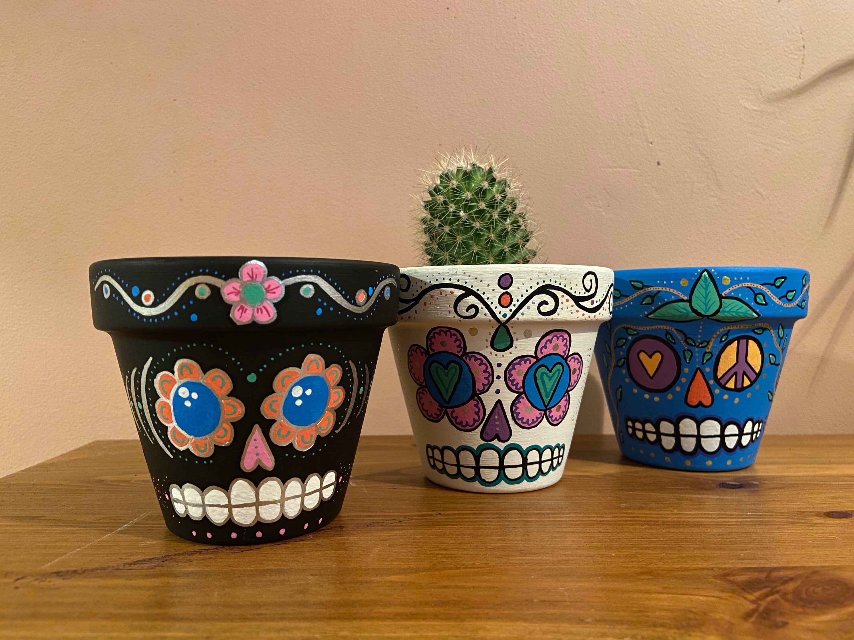 Sugar skull planter hand painted plant pot terracotta Etsy