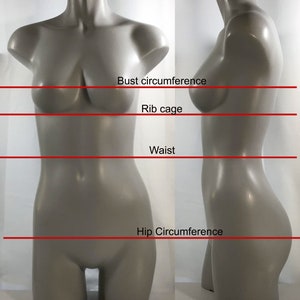 May include: A gray mannequin torso with markings for bust, rib cage, waist, and hip circumference measurements.