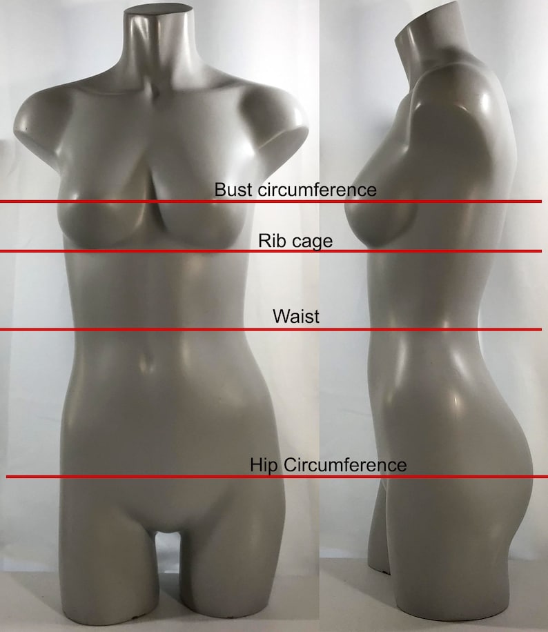 May include: A gray mannequin torso with markings for bust, rib cage, waist, and hip circumference measurements.