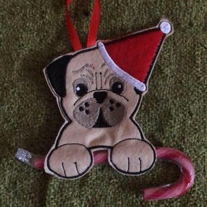 May include: A beige pug wearing a red Santa hat with white trim is holding onto a red and white candy cane ornament.