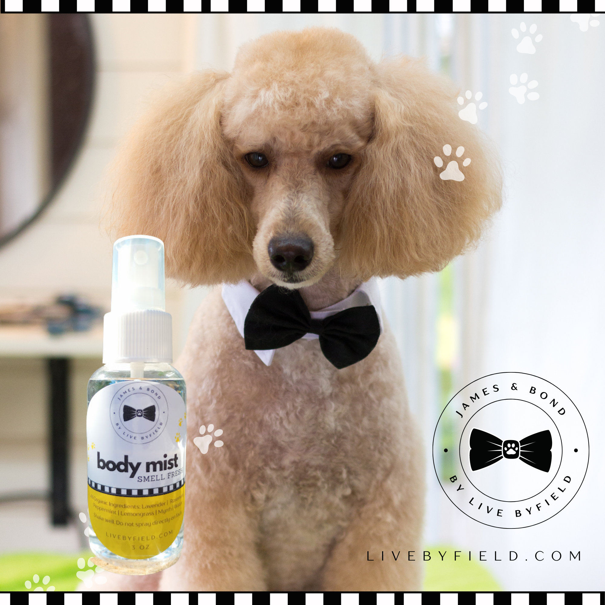 Is There Deodorant For Dogs