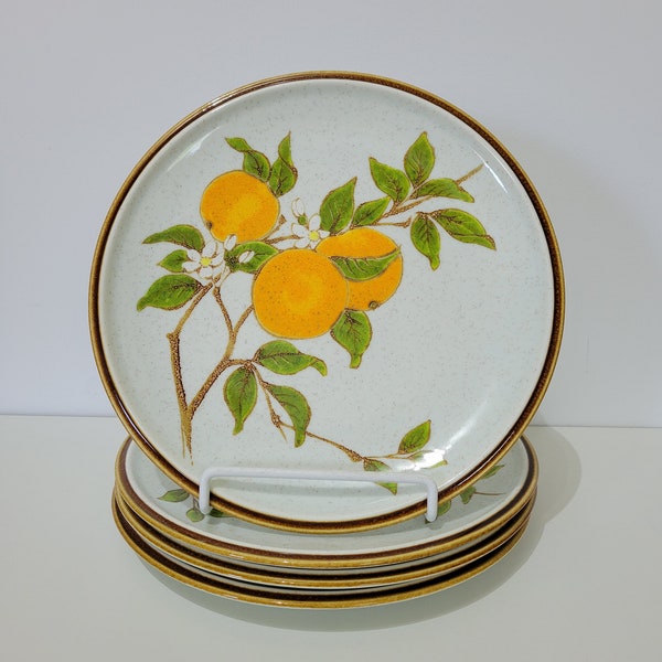 Set of 4 Mikasa Natural Beauty Marmalade C9003 Dinner Plates, Made in Japan