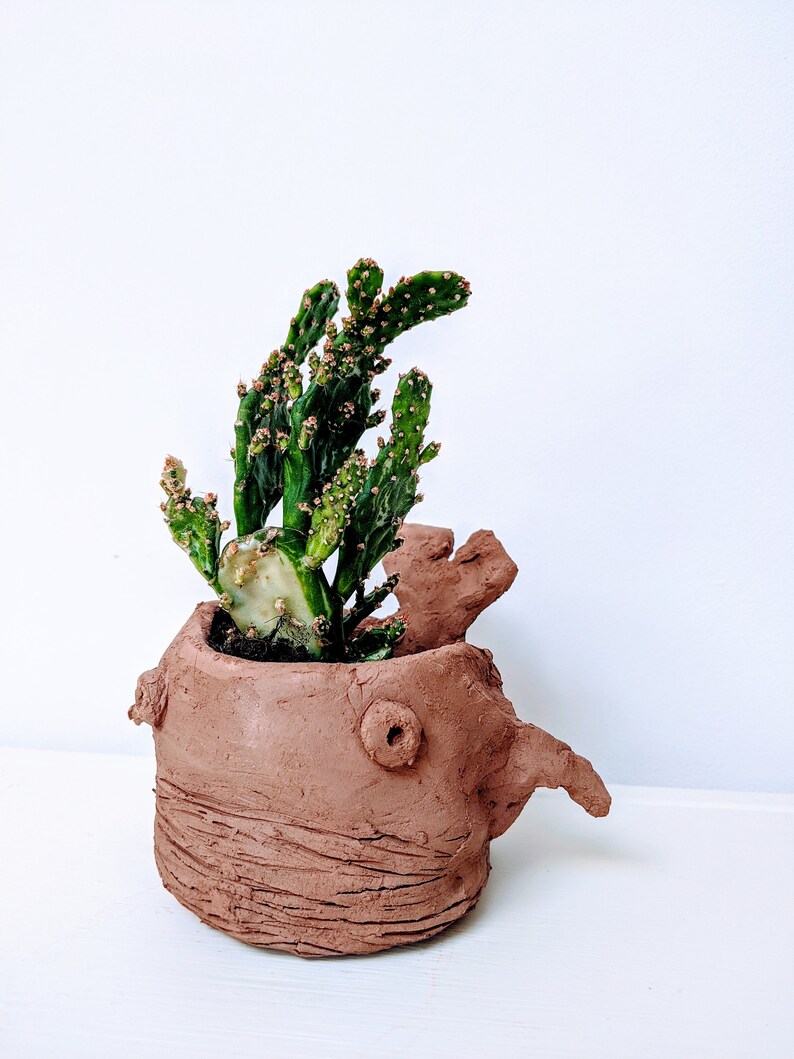 Air dry clay pottery craft kit. Make your own happy plant pot Etsy