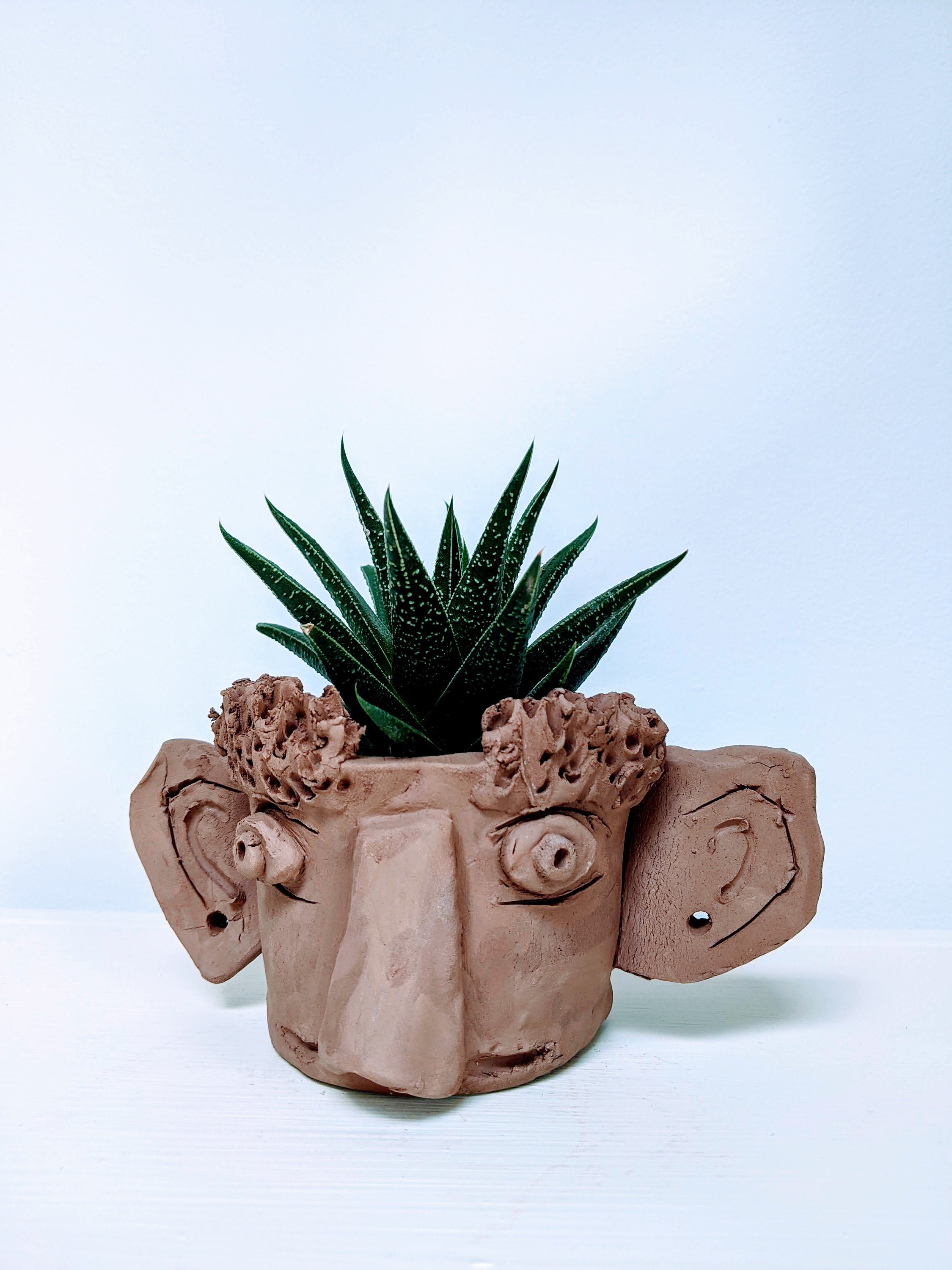 Make Your Own Air Dry Clay Pots craft kit pottery Lockdown Present Gift Set SALE Make Your Own Air Dry Clay Pots craft kit pottery Lockdown Present Gift Set SALE