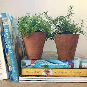 May include: Two small terracotta pots with thyme and rosemary plants sit on a stack of cookbooks. Titles include "Plant Power" and "Bill's Everyday Asian." The image has a natural, rustic aesthetic, suitable for a kitchen or garden setting.