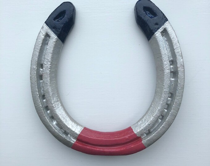 Painted Horseshoe