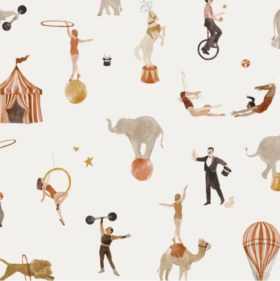 Family Fabrics Circus Jersey, 4 Way Stretch Fabric, Gender Neutral Stretchy Fabric