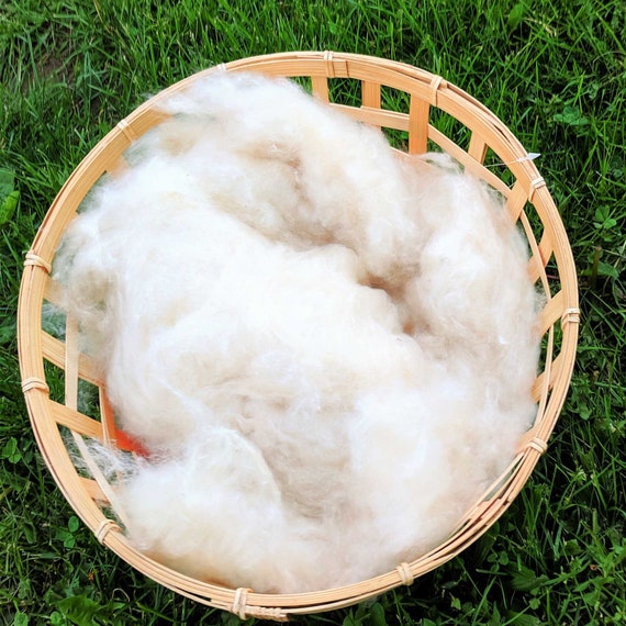 1KG KAPOK Natural Fiber Stuffing Doll Bear Toy Luxury pillow Etsy