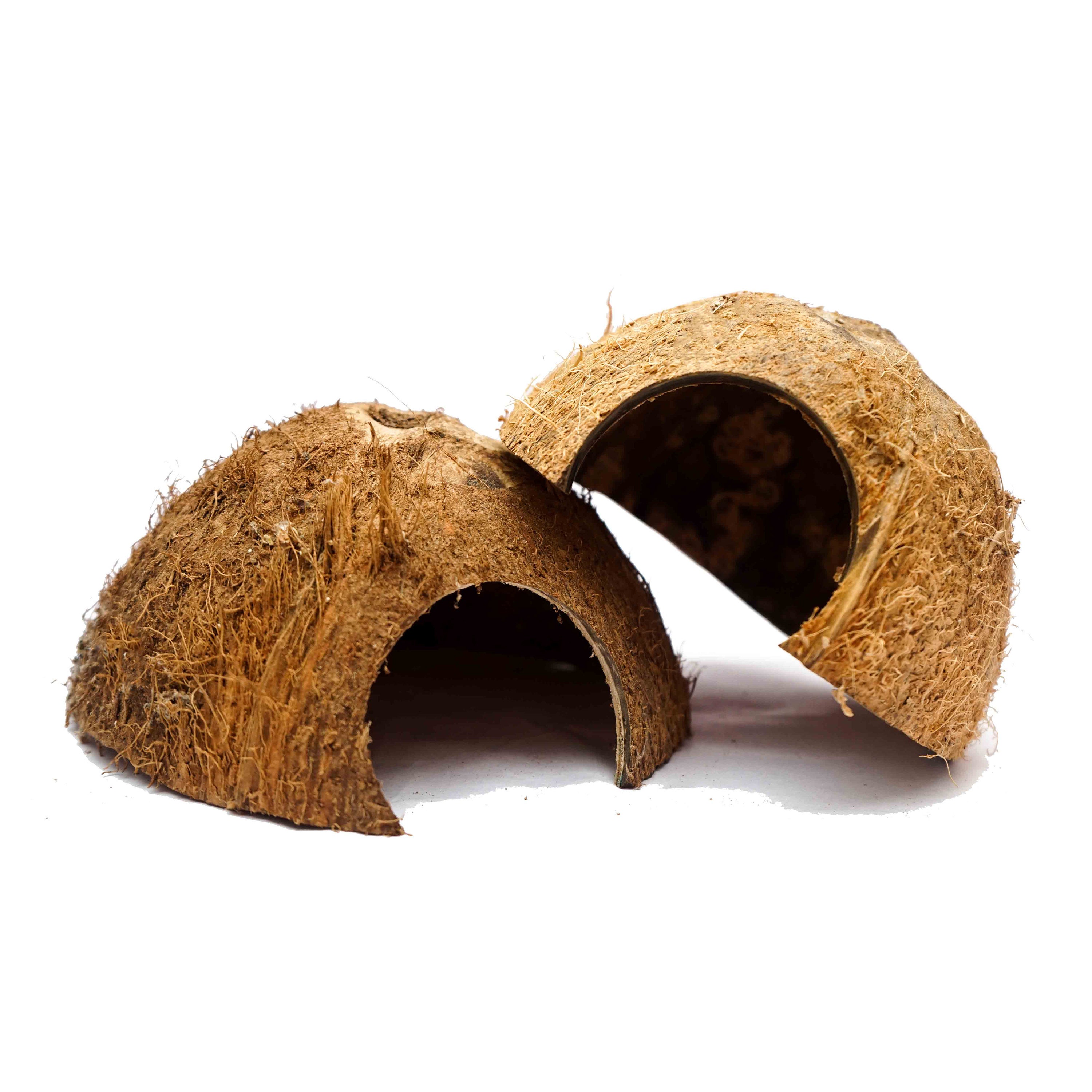 Coconut Bird Nest With Ladder - Natural And Eco-Friendly Bird Cage