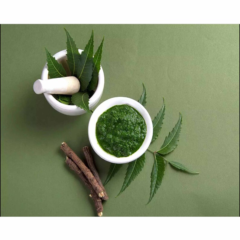 100g Organic Dried Neem Leaves & Powder 100 Natural Herbs Etsy