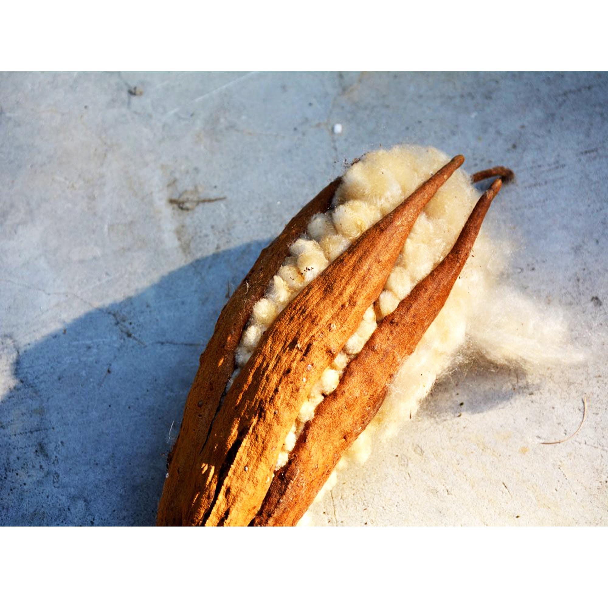 1KG KAPOK Natural Fiber Stuffing Doll Bear Toy Luxury pillow Etsy