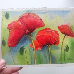 Tre papaveri rosso vivo con boccioli, papavero del grano, acquerello dipinto a mano 13 x 18 cm, senza cornice, pezzo unico - non è una stampa digitale!