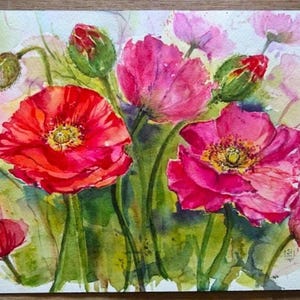 Papavero d'Islanda, fiori di papavero, acquerello originale, formato paesaggio, 23 x 31 cm - pezzo unico dipinto a mano - nessuna stampa