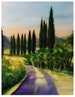 Landscape watercolor Italy, Tuscany, cypresses, holidays, summer, sun, trees, hand-painted, portrait format 29.5 x 42 cm - unique - NO PRESSURE ! 