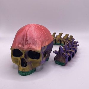 Articulated Predator Skull 3D Printed