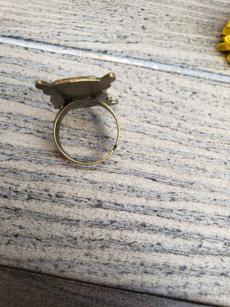 Dried Pink Flower Owl Antique Bronze Adjustable Cabochon Ring