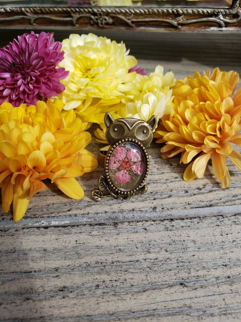 Dried Pink Flower Owl Antique Bronze Adjustable Cabochon Ring