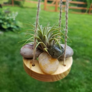 Air Plant Holder, Rustic Succulent Display, Home Office Decor Gift