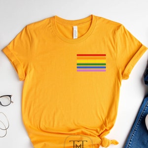 Camisa do orgulho de bolso, camisa LGBTQ, camisa do mês do orgulho, camiseta do orgulho gay, camisa do orgulho, camisa da igualdade, presente LGBTQ, camiseta lésbica, presente gay